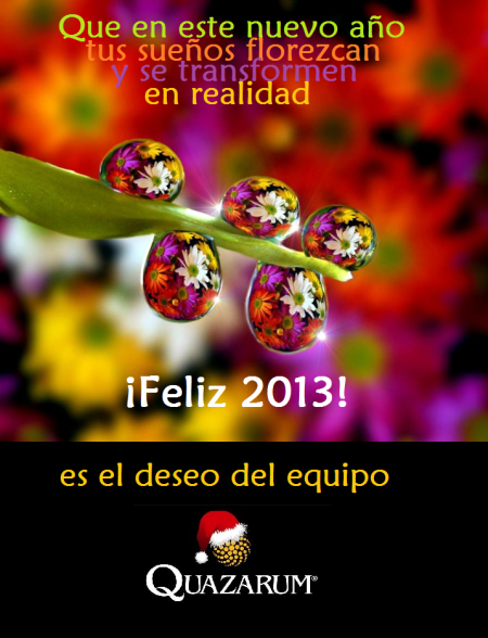 2013-Año Nuevo-Orugas floridas-blog