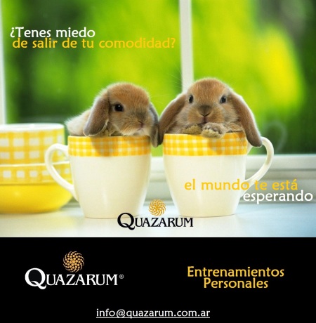 39-Entrenamientos Personales-conejos en tazas-blog